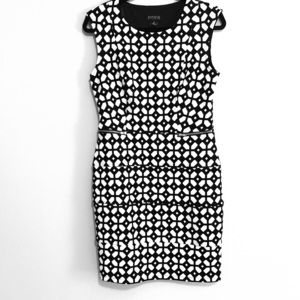 Enfocus Studio Dress